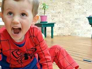 LITTLE SPIDERMAN: William Tyrrell has been missing since September, 2014. Picture: Contributed