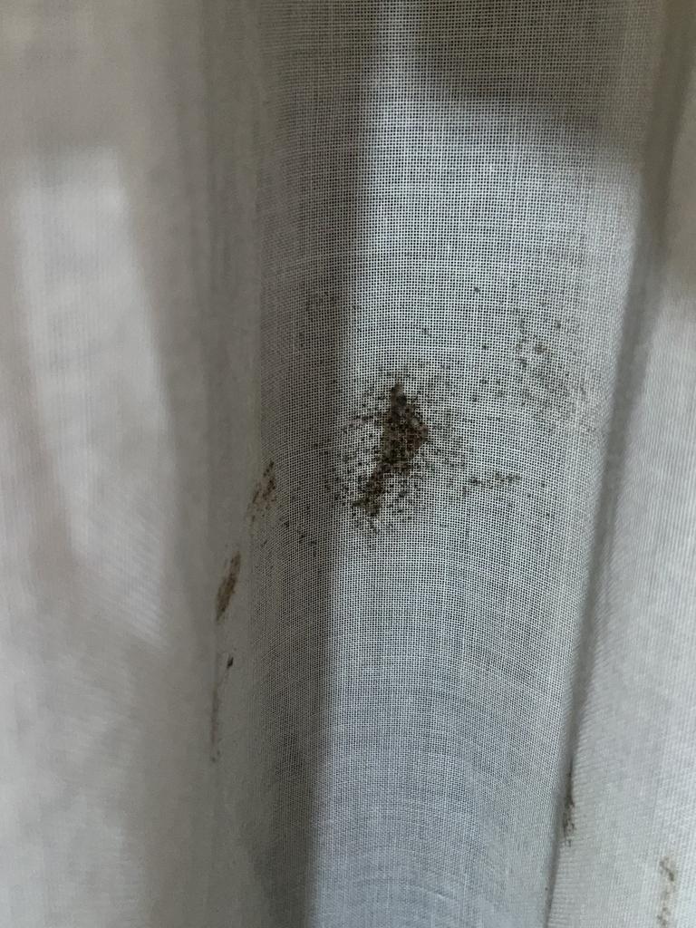 Mould was also on the curtains. Picture: Supplied