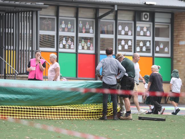 Staff install a temporary fence around a garden bed at Allambie Heights Public School on Friday. Picture: Tim hunter.