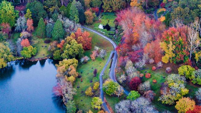 A burst of colour at Mounty Lofty. Picture: Visit Adelaide Hills