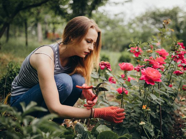 Young woman gardening in the back yard on a sunny spring day