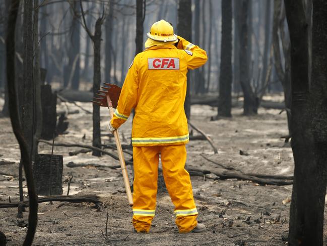 Victorian Fires Special. Mallacoota fire recovery feature. CFA firefighter Lindsay McHugh from South Morang checking smoldering trees and ground near the town.   Picture: David Caird