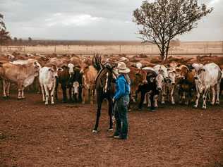 Queensland Agricultural Training Colleges in Longreach and Emerald were closed this week. Picture: Nita Siggins