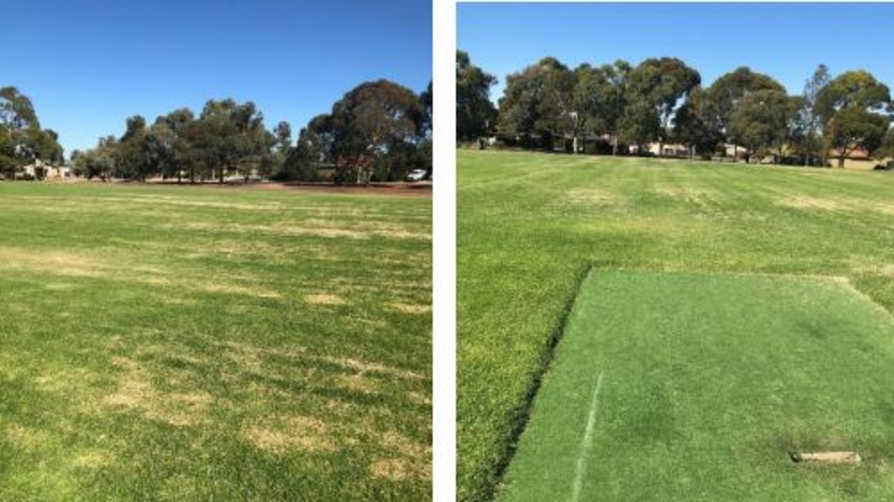 Fight over Hargrave Reserve, Modbury North, cricket pitch | NT News