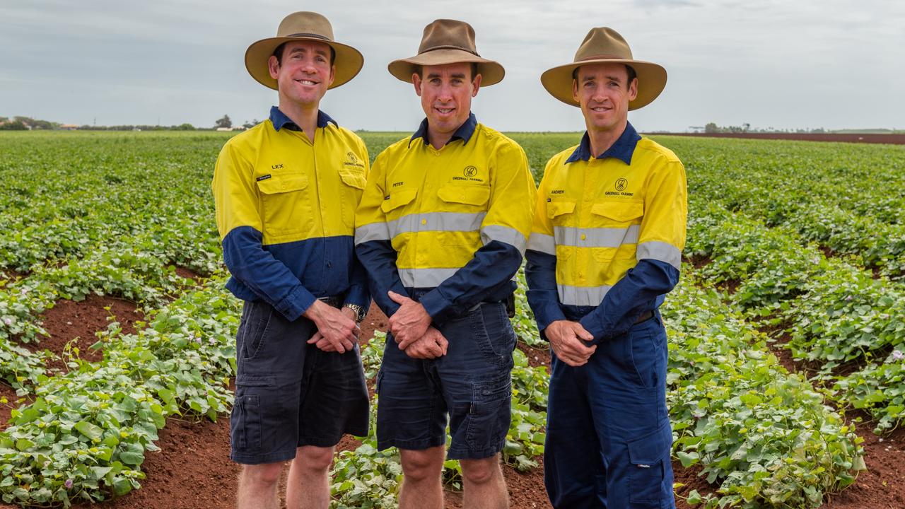 Farming group. Australian Corn Farmer couple. Group of Farmers PNG.