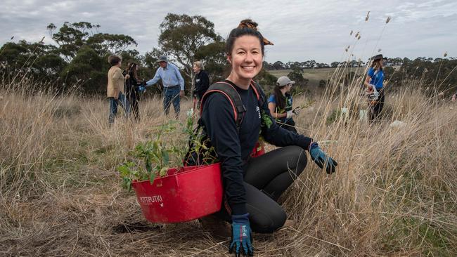 IFAW volunteer Dominic Mack helping to plant thousands of trees will be planted to create a new koala corridor on land dedicated by local farmers Ross and Elizabeth Wilkie on their property "Moranghurk" near Lethbridgre. Picture: Brad Fleet