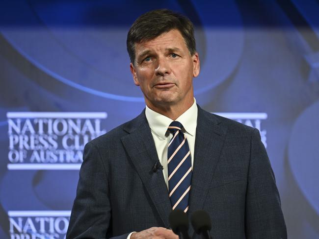 Angus Taylor has declared inflation is now being caused by decision-making in Canberra rather than Russia’s invasion of Ukraine. Picture: NCA NewsWire / Martin Ollman