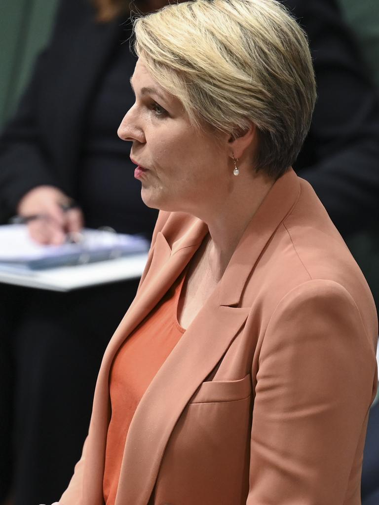 Ms Plibersek defended the government’s actions. Picture: NCA NewsWire / Martin Ollman