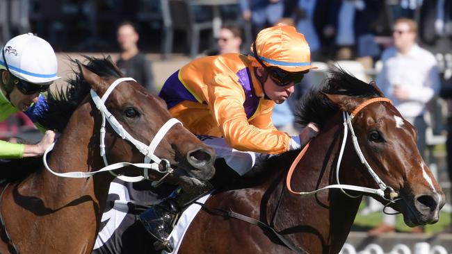 Tommy Berry was impressed by Spend’s debut win at Rosehill Gardens. Picture: AAP