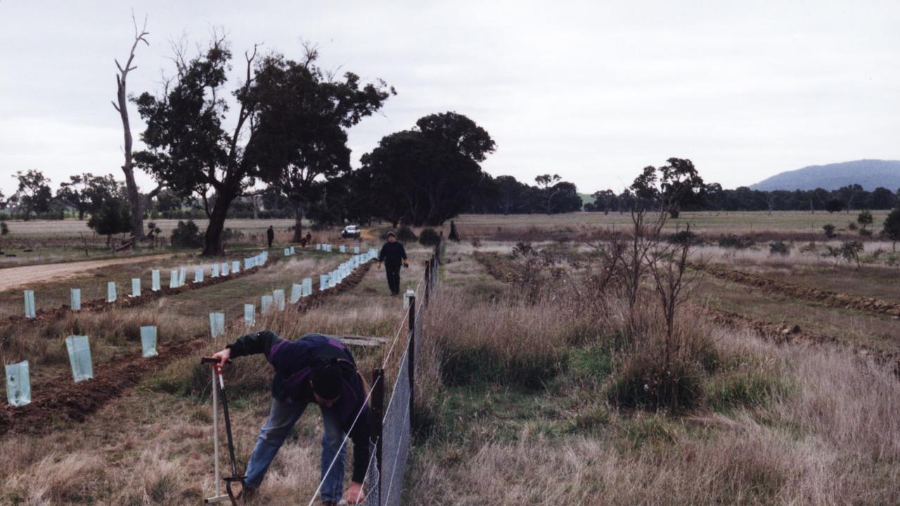 Weeded out by free workers