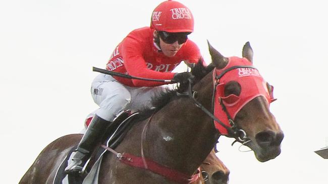 Redzel will be up near the speed and take plenty of running down. Picture: Getty Images