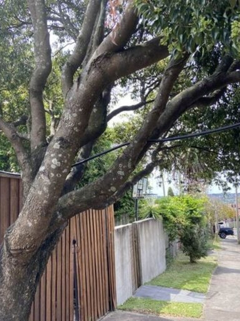 Electric car chargers plugged in over Sydney footpaths, trees | Daily ...