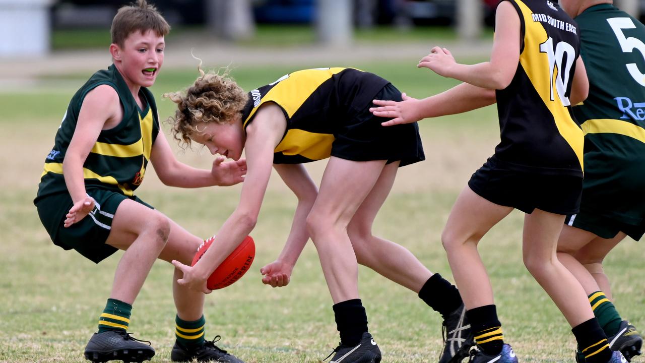 SA Little Legends – celebrating school sport: More action from this week’s School Sport SA Sapsasa State Country Football Carnival. Here, freelance news photographer Naomi Jellicoe has caught play between Pirie and Mid South East at West Beach during the week.