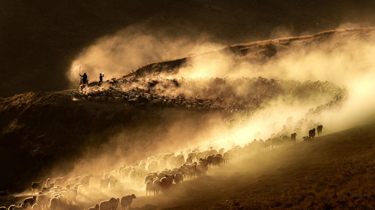 A harsh Turkish winter is followed by verdant valleys, offering sustenance for both shepherds and their flocks. Every day, a dusty journey unfolds as they trek 10 km to the foot of Mount Nemrut. Picture: Fatih Yilmaz/TNC Photo Contest 2023