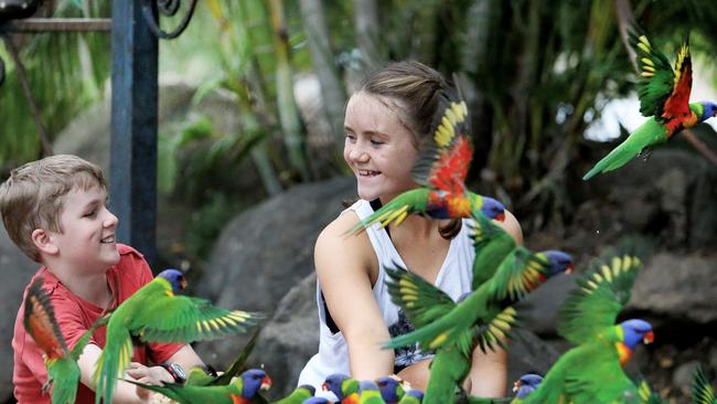 Callum Mackenzie-Cree, 13, and Georgia Larter, 14, enjoy feeding the rainbow lorikeets at Thunderbird Park. Pic by Luke Marsden.