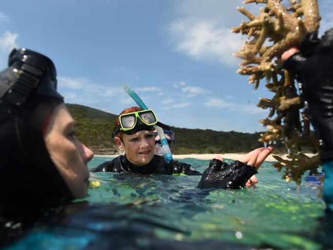 One Nation leader Pauline Hanson visited the reef to highlight ‘untruths’ regarding the health of the reef but snorkelled 1300km away from centre of bleaching crisis. Picture: Dan Peled/AAP
