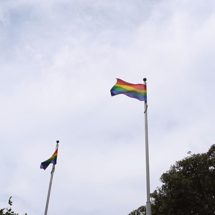 Victorian Government Flies Rainbow Flag Following Postal Survey Result. Credit - Daniel Andrews via Storyful