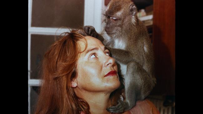 Scene from Lots of Kids, a Monkey and a Castle.