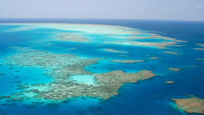 Great Barrier Reef oil spill would cost billions | news.com.au ...