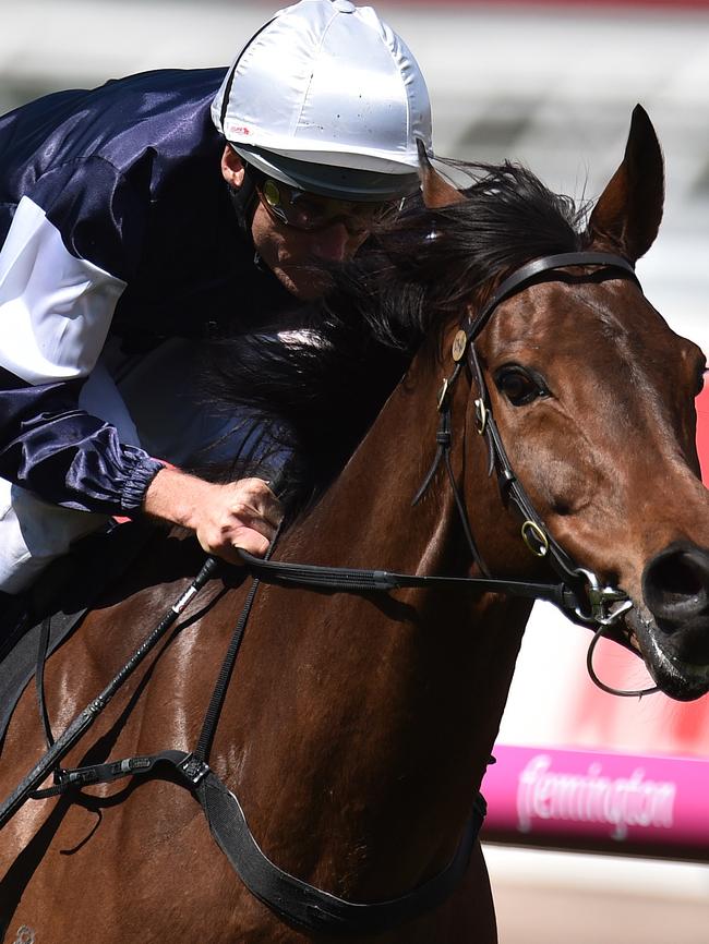 Damien Oliver rides Almandin to victory on Turnbull Stakes Day. Picture: AAP Images.