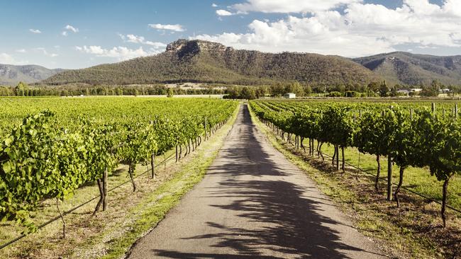 Wine tourism —  in regions such as the Hunter Valley — is growing in popularity with overseas tourists.