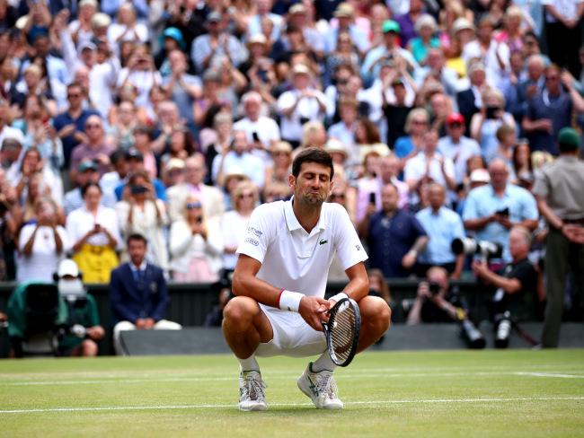 Novak Djokovic celebrates his extraordinary win over Roger Federer.