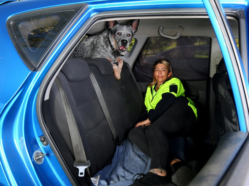 Jessica Pomerenke is sleeping in her car with her three dogs Koda (pictured), Summer and Boffa after struggling for months to find a rental in the Greater Brisbane area. Picture: David Clark