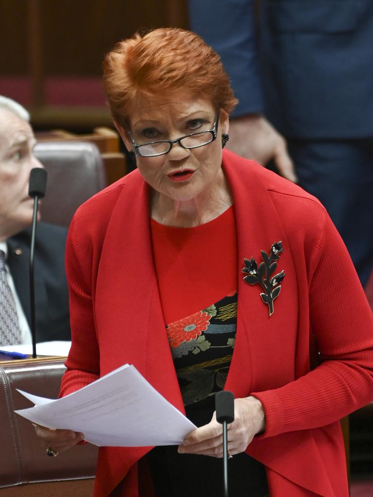 Pauline Hanson: Senator Calls Out Dutton On Indigenous Voice To ...