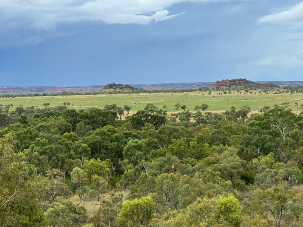 Lord Cattle have sold their 233,000ha May Downs station for $47.5m.