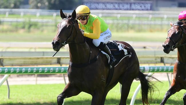 Tiger Heart can bounce back at Doomben. Picture: Trackside Photography