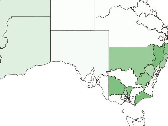 The Nationals have acheived a string of victries. Picture: The Australian