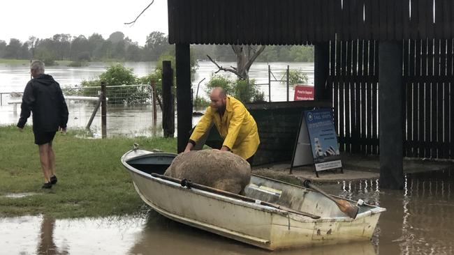 The ram saved by boat from floodwaters. Picture: Helen Scotland