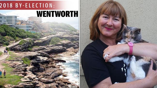 The Animal Justice Party candidate Labor’s Deb Doyle wants a Federal Animal Rights Commission, so animal creulty and neglect offenders can be investigated and prosecuted.