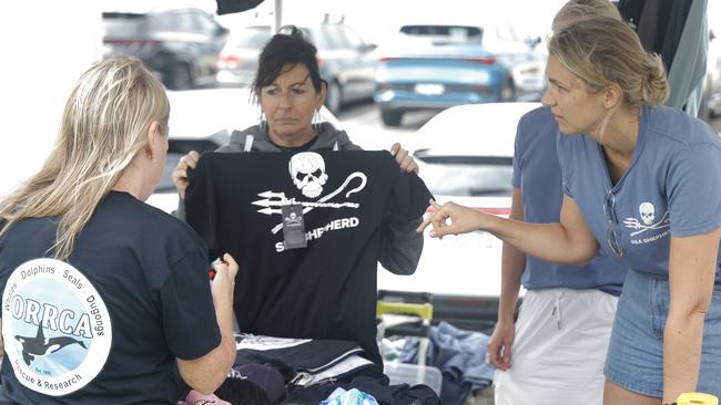 Sea Shepard works closely with the Ocean Lovers Festival and hosted the community clean-up at Bondi Beach. Picture: NewsWire / Damian Shaw