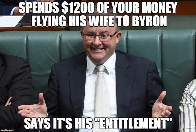 Anthony Albanese says his expenses claims are his "entitlements".