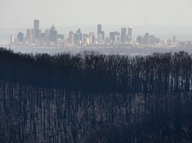 Kinglake West after the fires, looking toward Melbourne. Picture: David Geraghty