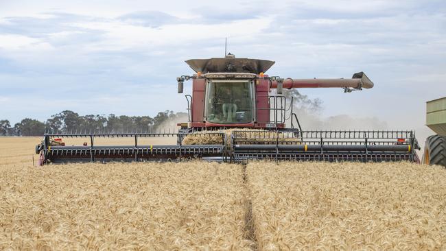 Harvest - Simon Wall at Pine LodgeSimon Wall is a livestock and cropping farmer who will still be harvesting wheat.He thinks he will be finished on Monday afternoon. His property has missed most of the wet weather and storms, so the wheat is performing well and no quality downgrades. PICTURED: Generic harvest. Header and chaser bin. Wheat harvest. Wheat crop. Harvesting wheat. Harvesting. Stock Photo. Picture: Zoe Phillips