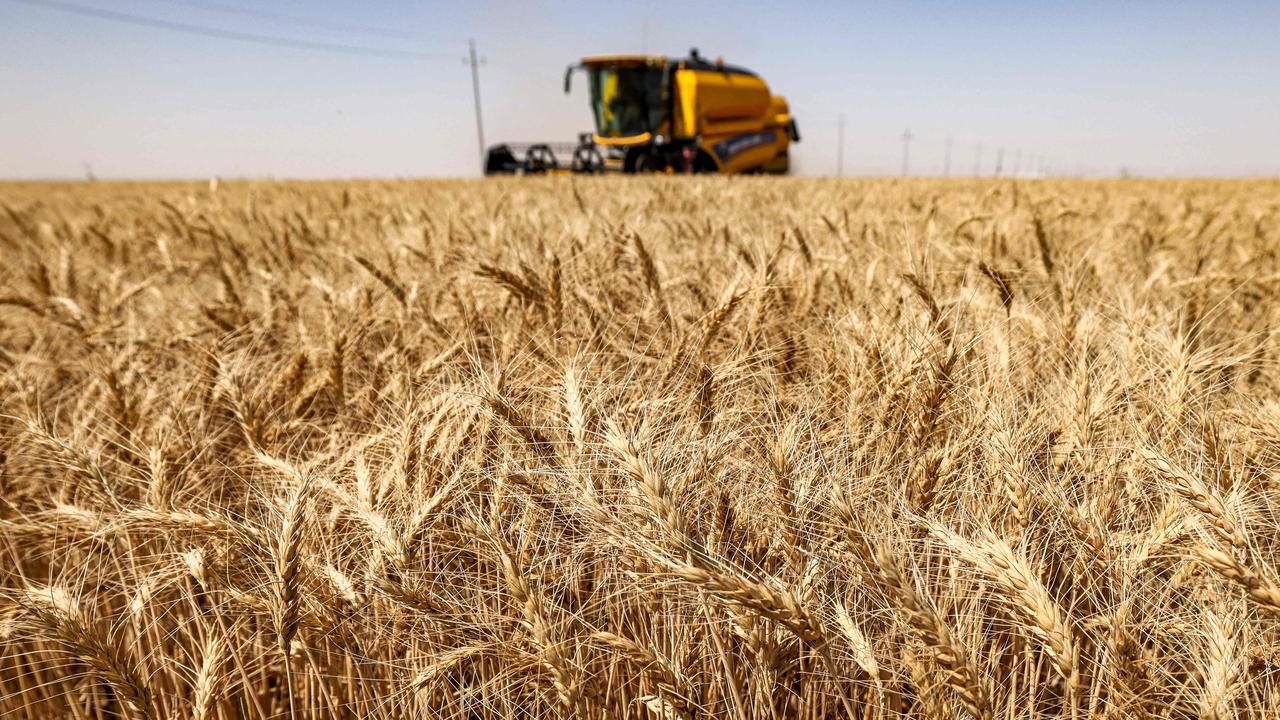 ASIC claims Chinese state-owned allegedly manipulated Australian wheat ...