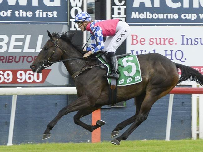 Luna Jet was impressive winning on debut and looks hard to beat again at Wagga. Picture: Bradley Photos