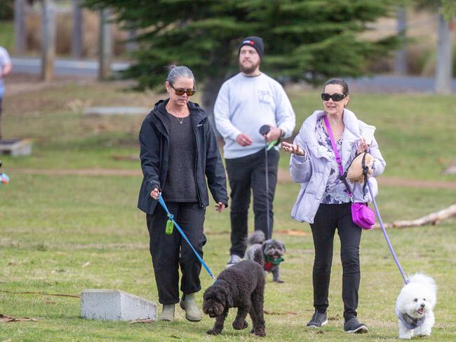 Dog walkers and their dogs at the million paws walk at Queens Domain in Hobart in Sunday 25th May 2025. Picture: Linda Higginson