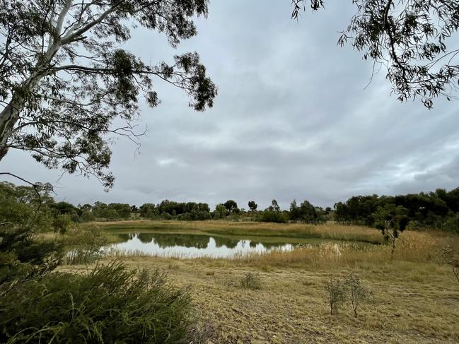 The Bakers Ford Wetland. Picture Jason Katsaras