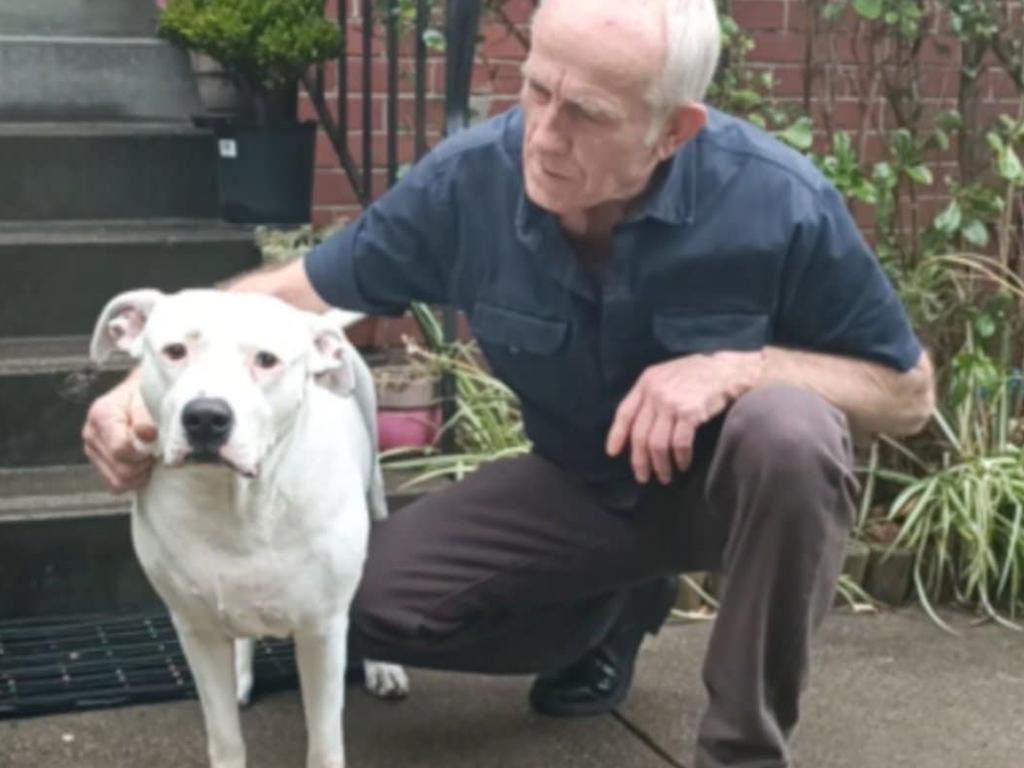 Morticia was reunited with her family on Saturday after being missing from home for more than 24 hours.