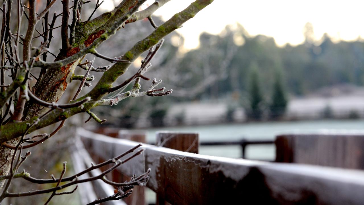 Frosty tree branches in Meadows. Picture: Sam Wundke