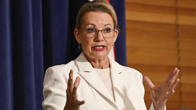 Leader of the Opposition Sussan Ley has suffered a number of blows in her short term in charge. Picture: NewsWire / Martin Ollman