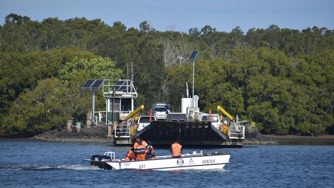 A humpback whale and calf were spotted near the Burns Point Ferry  in the Richmond River at Ballina.