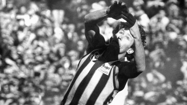 Carman in action for North Melbourne.