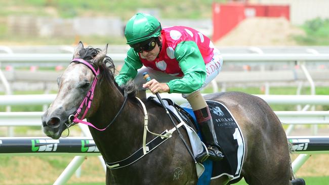 Paradis Imperial, ridden by Nathan Day, winning at Eagle Farm. Picture: Grant Peters, Trackside Photography.