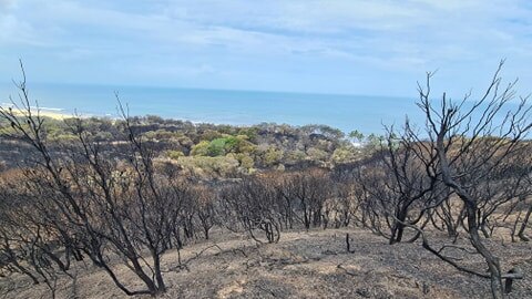 The view of Happy Valley in the aftermath of the fire 08/12/20