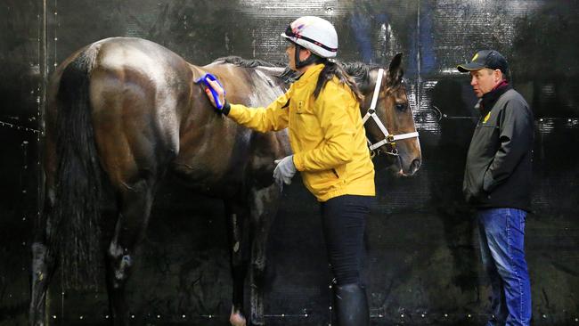 Natalie Young and Trent Busuttin are a great team. Picture: Mark Stewart