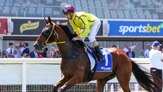 Zipaway will be out to outdo his sire Playing God in Saturday’s Group 1 Australian Guineas at Flemington. Picture: Racing Photos via Getty Images